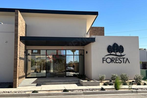 Foresta